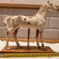 Wunderschönes, Akkupukturpferd (Veterinärmedizin)