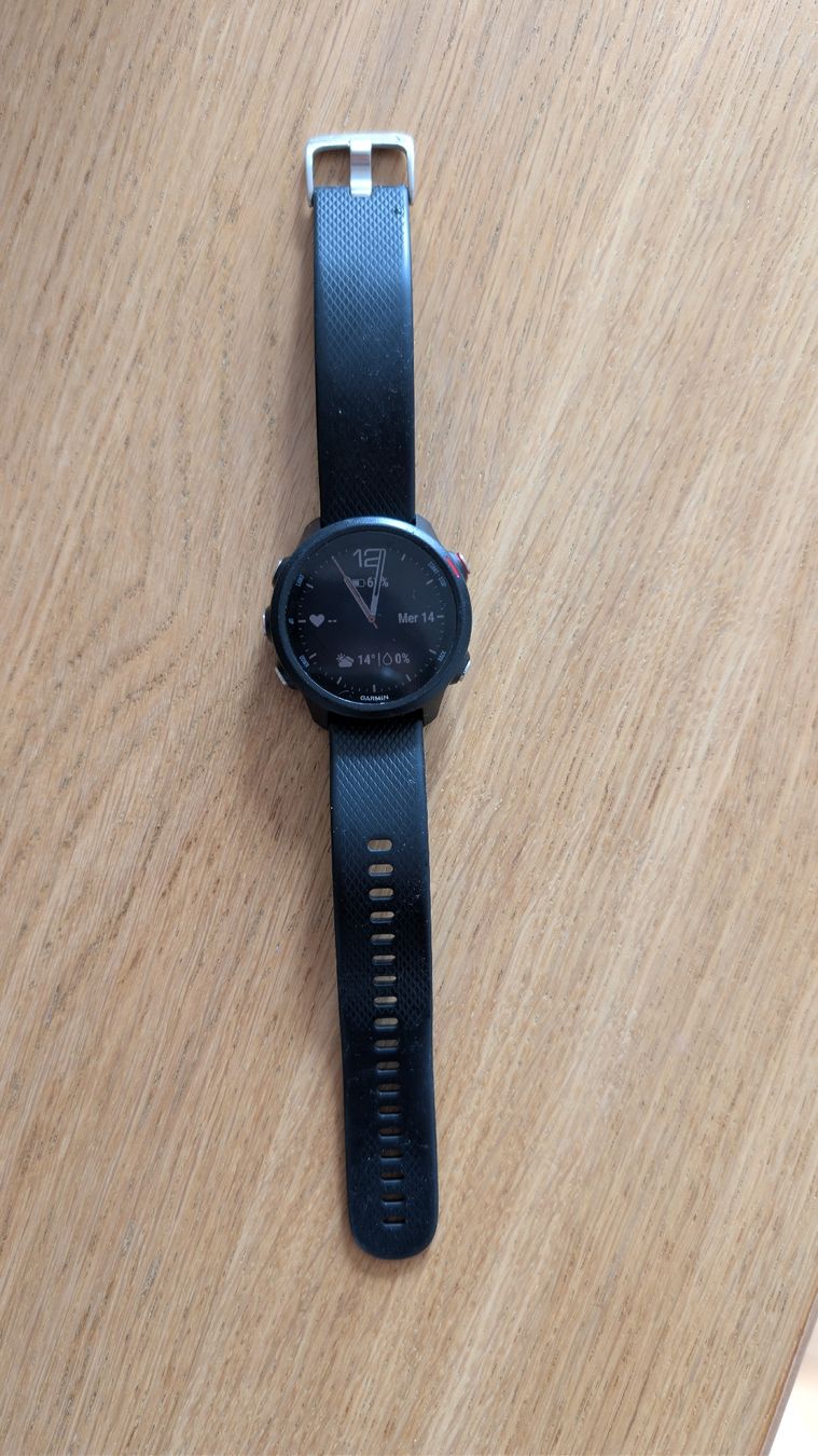 Garmin Smartwatch: Garmin 245 Music – Usato da Zürich venduto da sup_8hxy