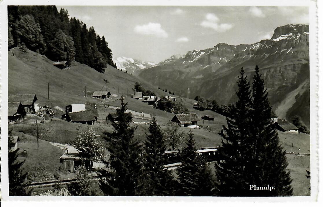Ansichtskarten: Planalp – Gebraucht aus Hochdorf von Ziegel-16