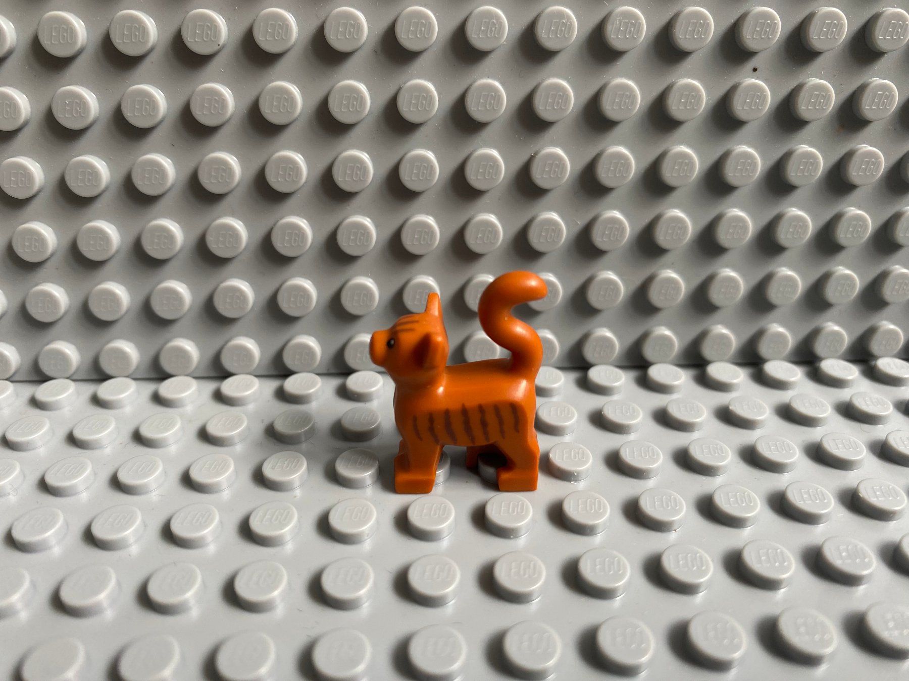 Lego Kit di costruzioni: Lego Tiere - Katze – Nuovo (secondo la descrizione) da Horw venduto da G39517sG 1