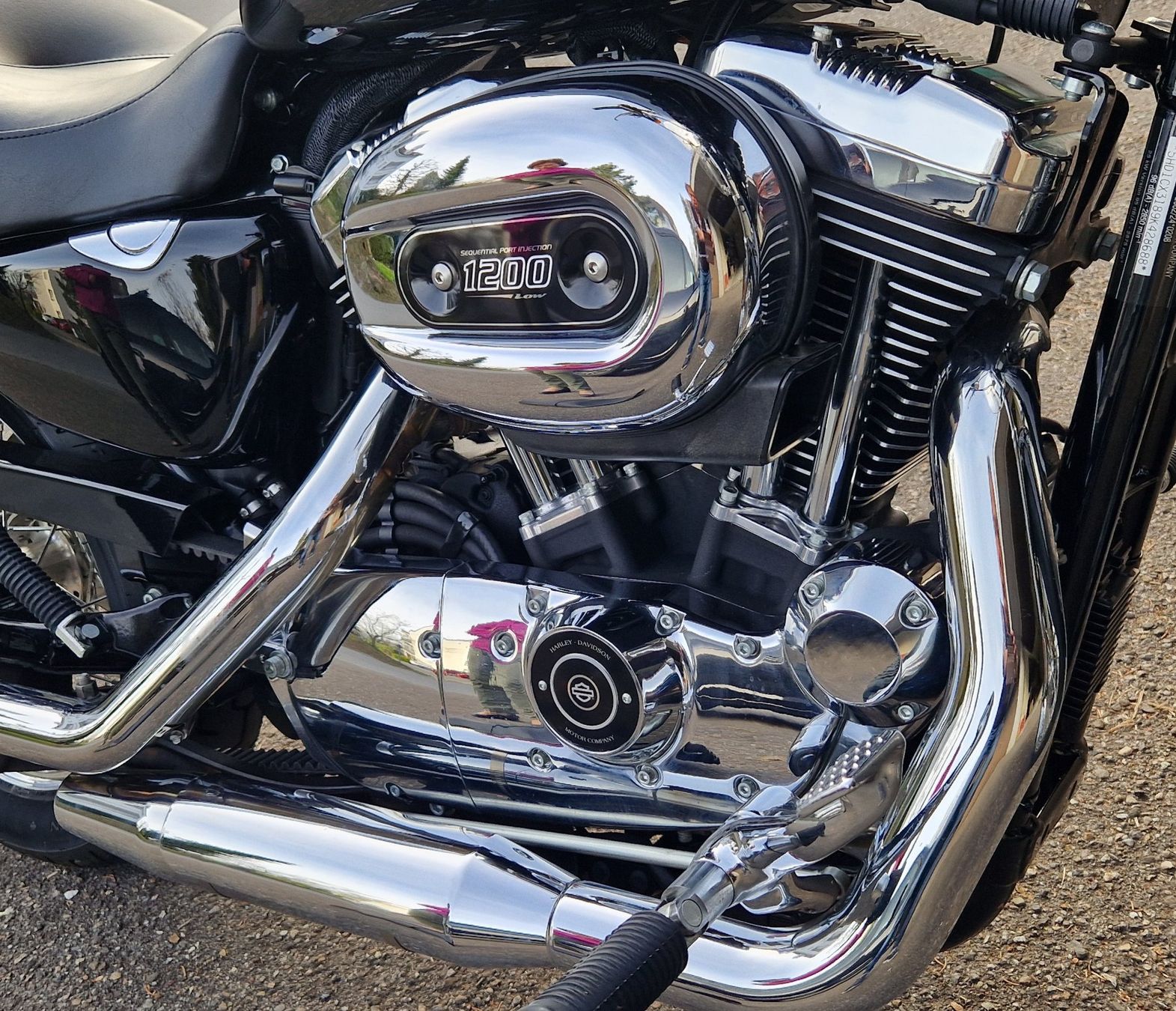 Harley-Davidson Chopper: Harley-Davidson XL 1200L – Usato da Rothenburg venduto da Robinello 2