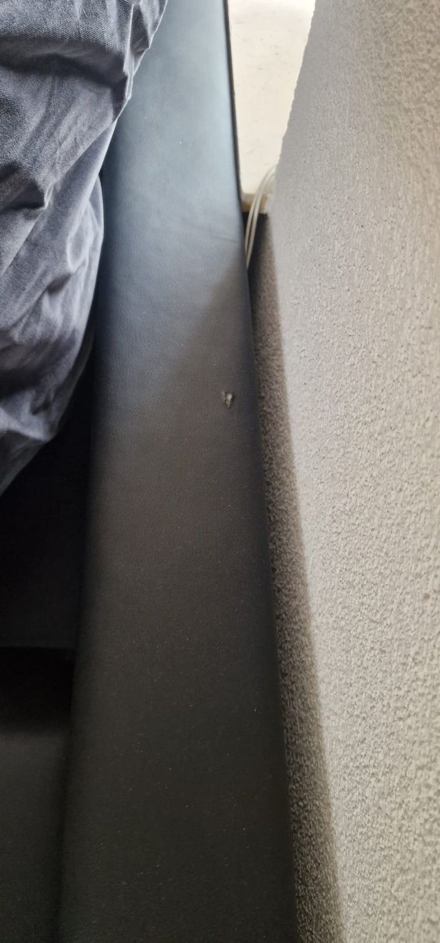 Divani: Grosses, ultra bequemes Schlafsofa – Usato da Niederuzwil venduto da Baer1997 2