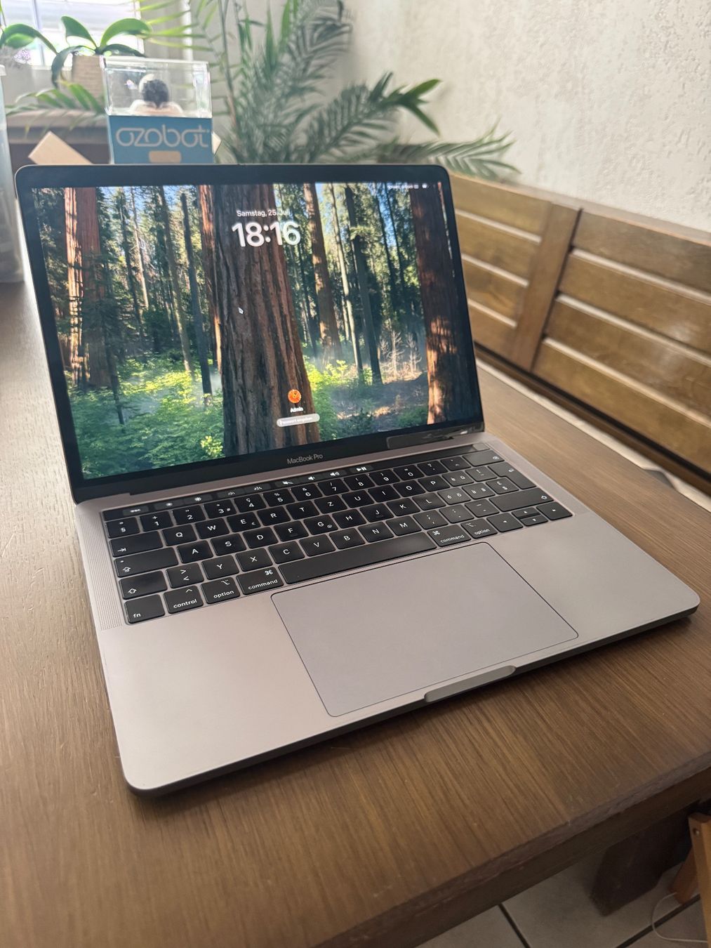 Apple Notebook: MacBook Pro 2018 – Usato da Schänis venduto da Animus1