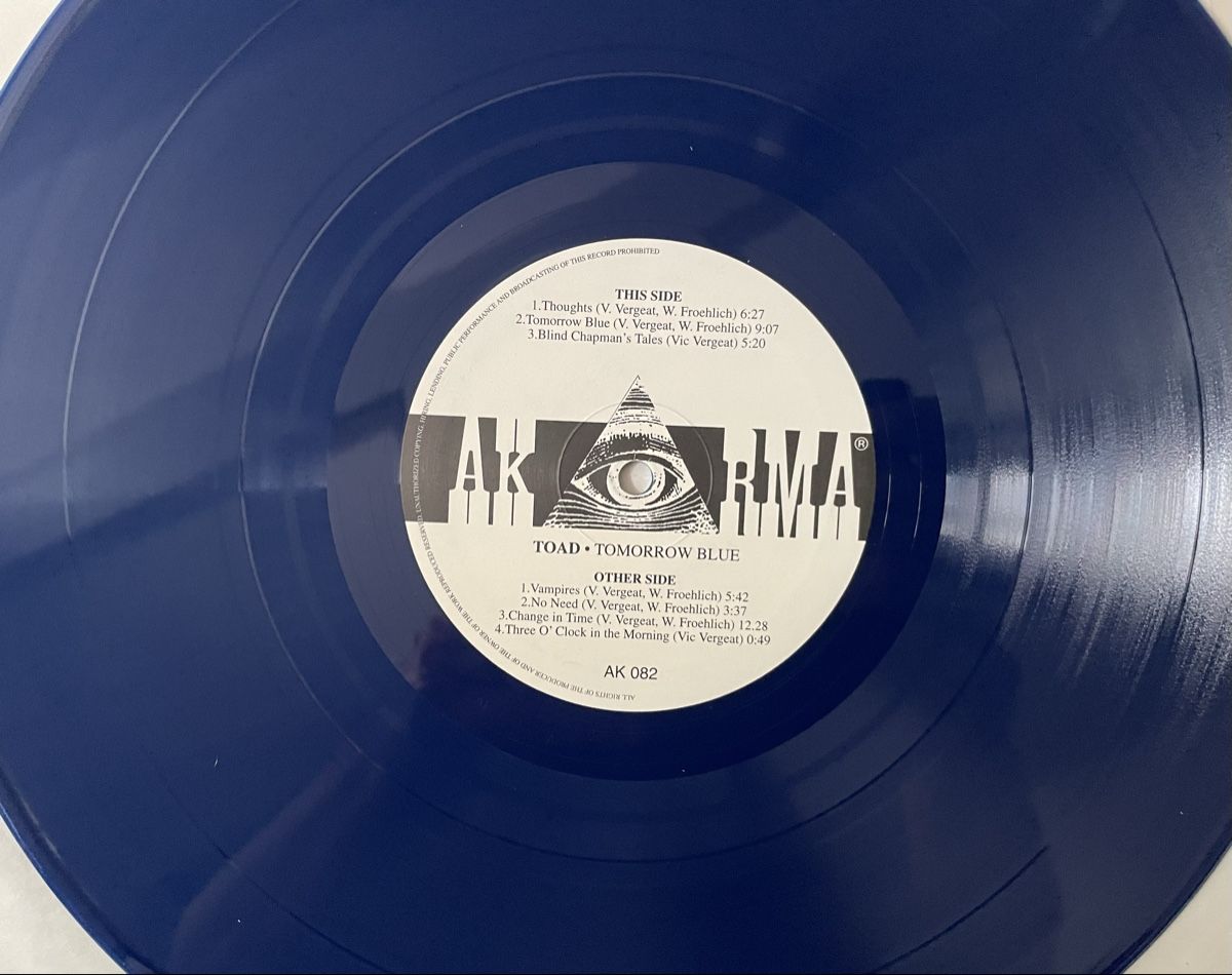 Dischi in vinile: TOAD - Tomorrow Blue - AKARMA Vinyl LP – Usato da Olten venduto da Bluespapst 4
