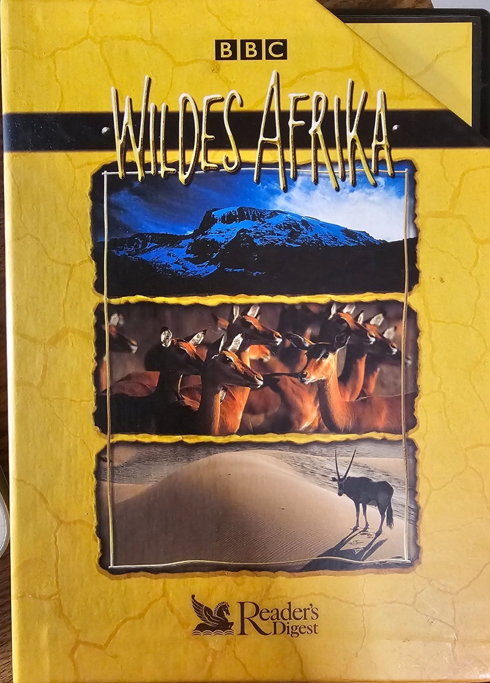 Tutti i DVDs: Wildes Afrika - 3 DVD Box – Usato da Wahlen b. Laufen venduto da Cg10
