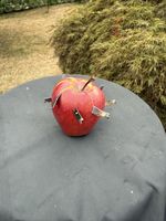 Pomme décorative artisanale objet insolite collection unique