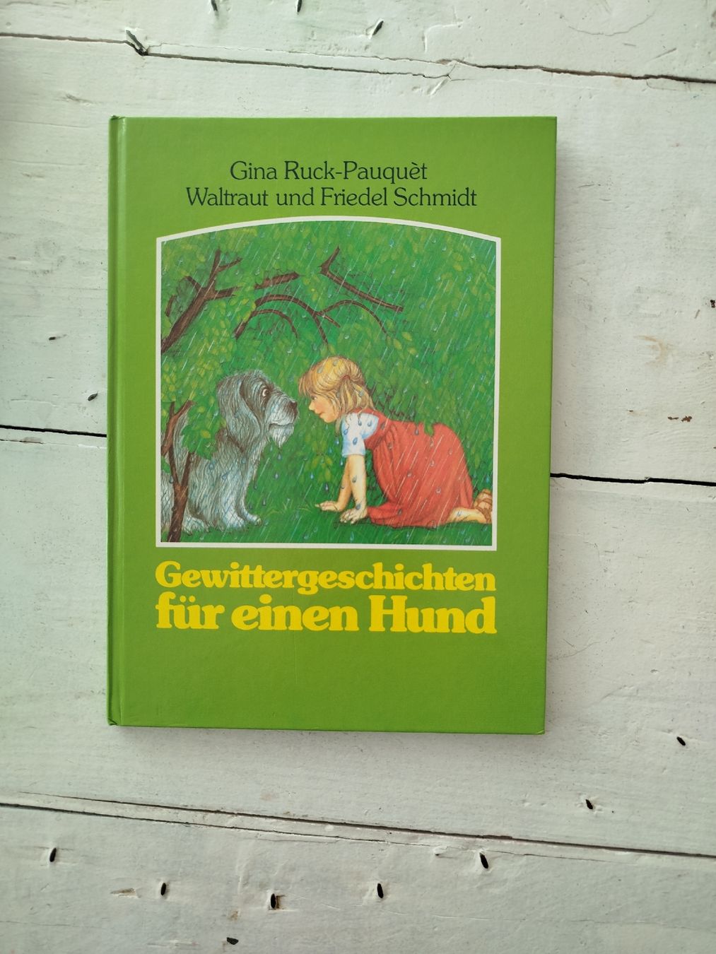 Libri: Gewittergeschichten für einen Hund – Usato da Fällanden venduto da san_zsm8