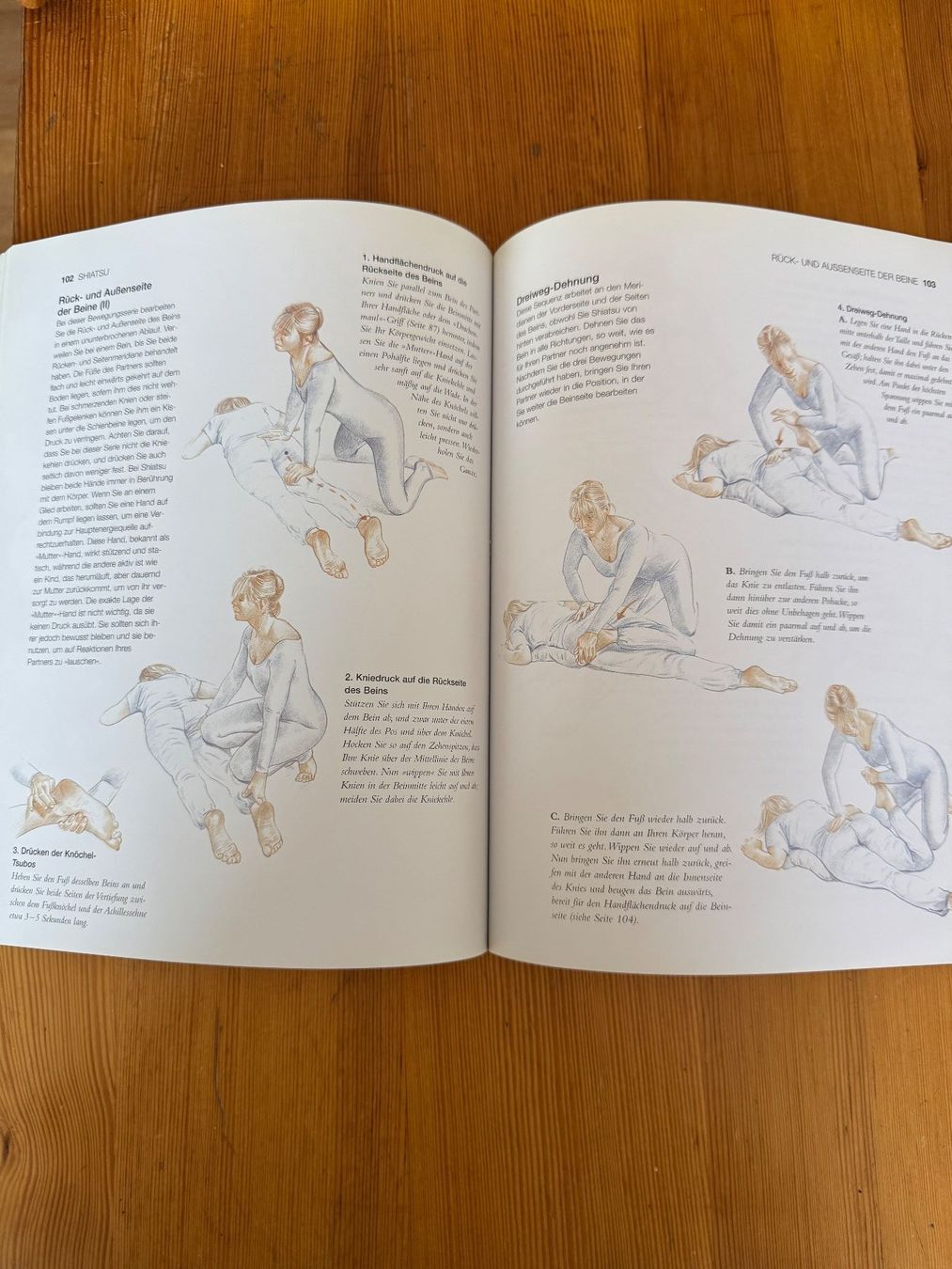 Libri: Massage - Der Klassiker: ! – Usato da Neftenbach venduto da Rose40 4