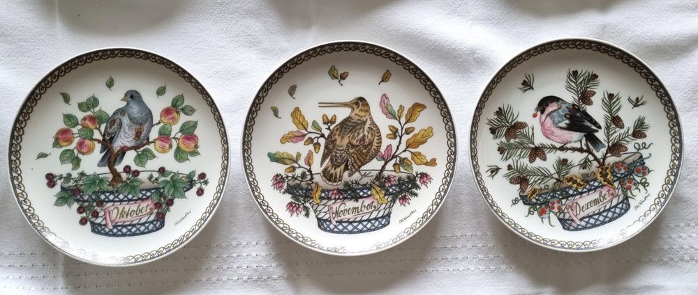 Hutschenreuther 12 Teller mit div Vögeln Ornithologie (Gebraucht