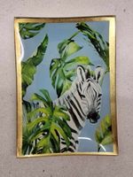 Glasteller Zebra Motiv (klein) für Snacks, Dessert und co.