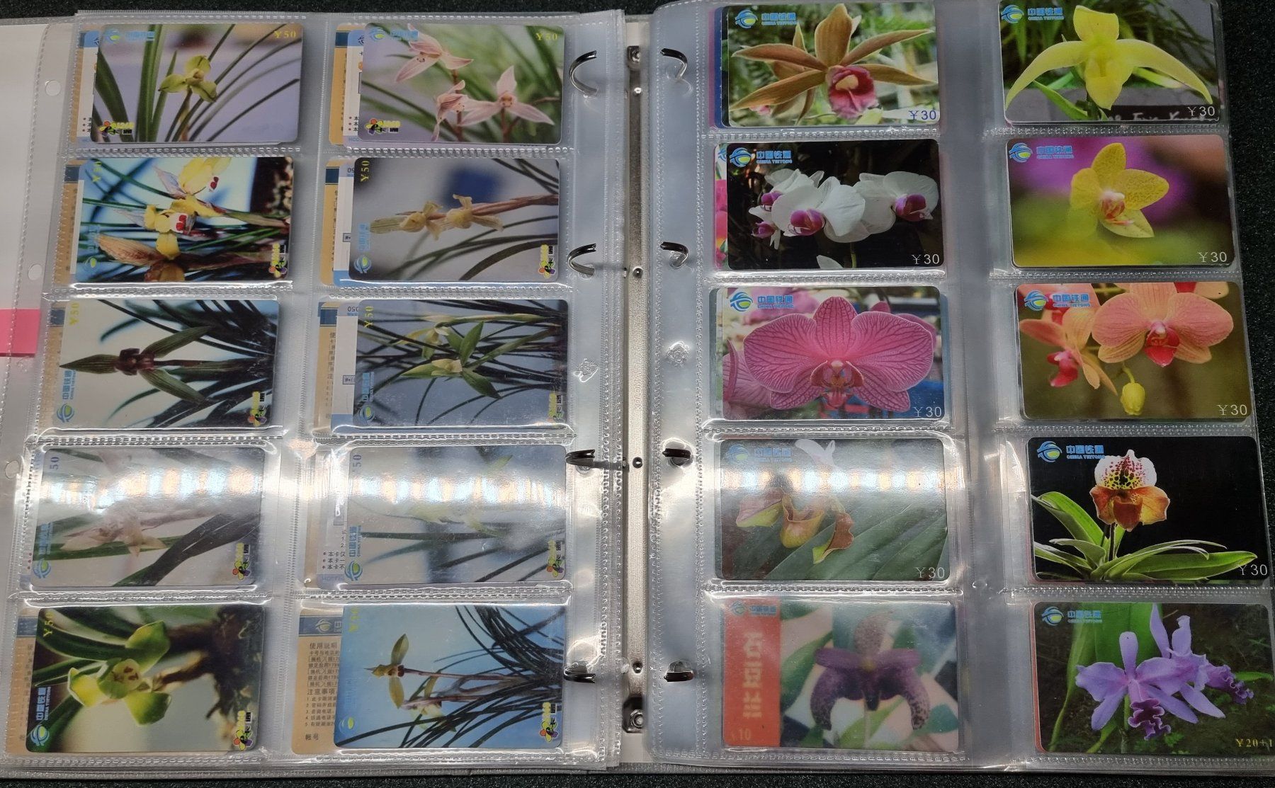 Album: Album 4 silber Telefonkarten Orchideen – Usato da Lostorf venduto da Dalbi 3
