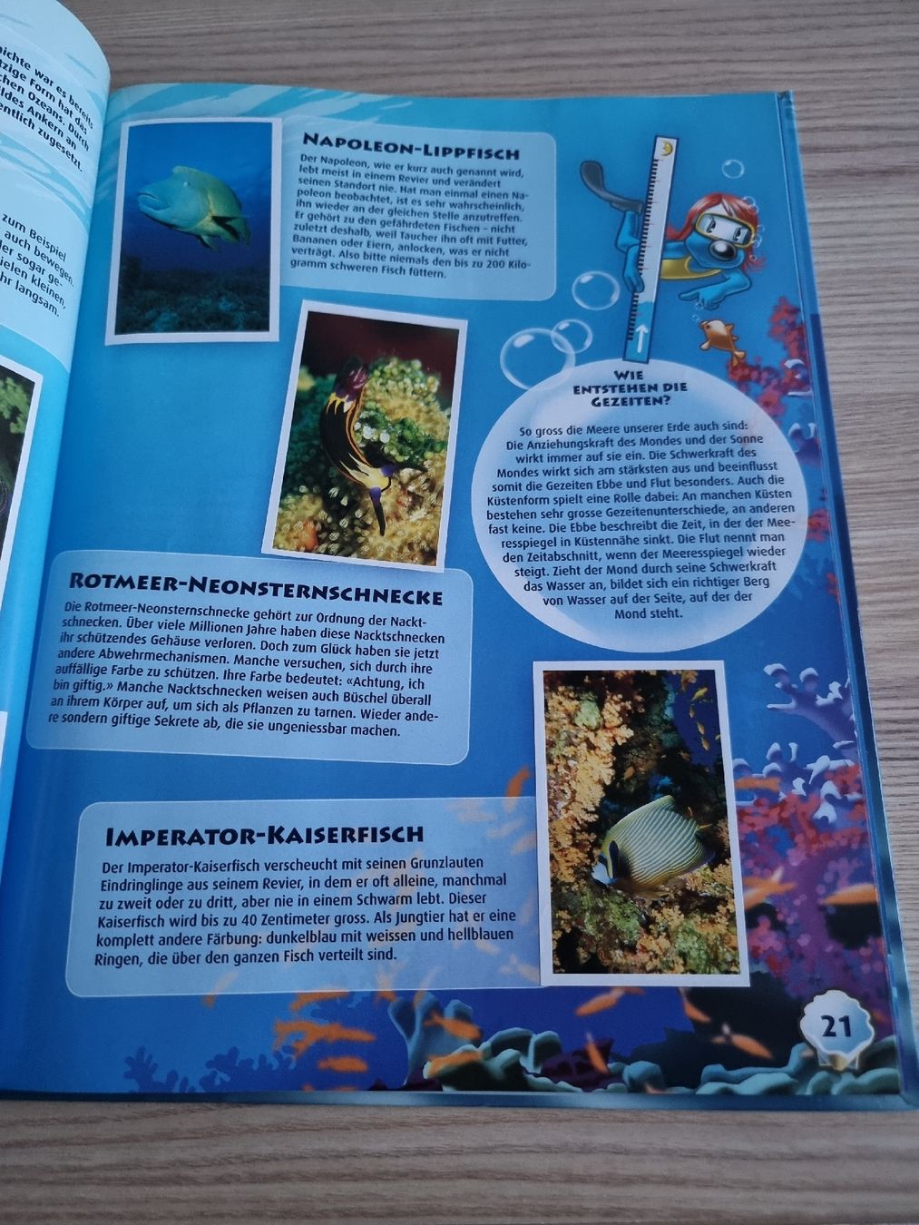 Migros Album: Lillibiggs Ocean Mania Stickeralbum – Usato da Luzern venduto da Luzern_Energy 3