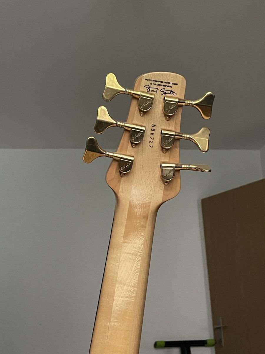 Strumenti musicali: Spector 6-String Bass – Usato da Mühlethal venduto da leandrawolf 1