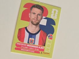 Panini WM 26 - NOR5