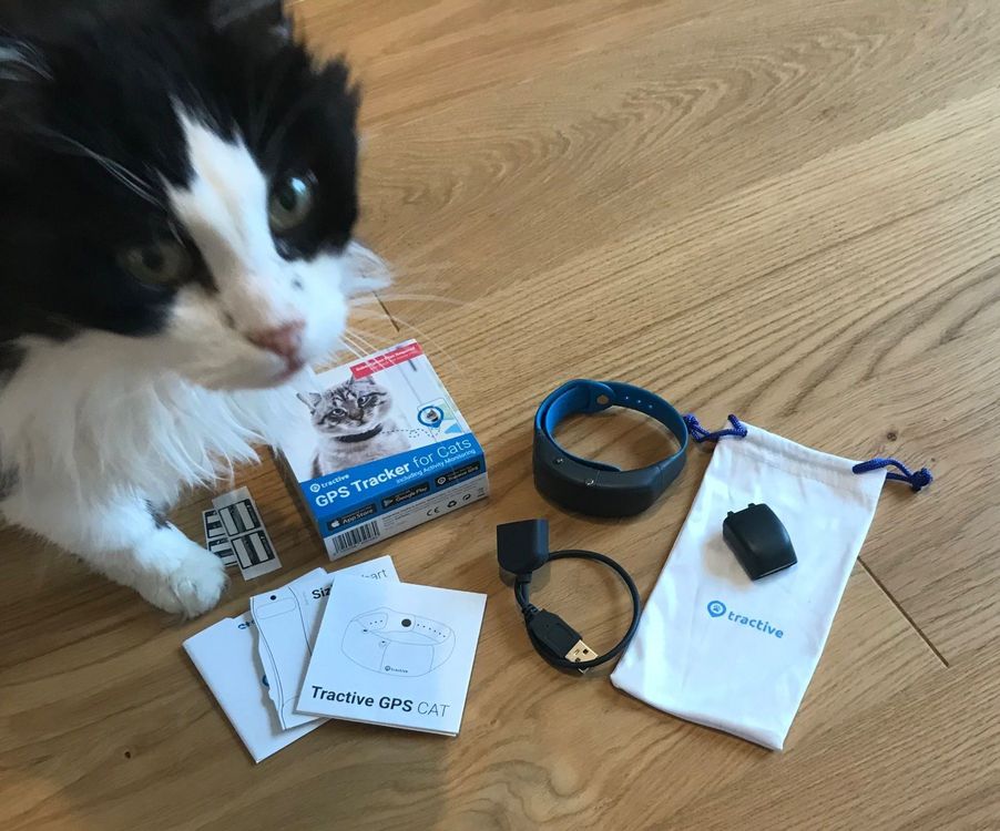GPSTracker für Ihre Katze Kaufen auf Ricardo