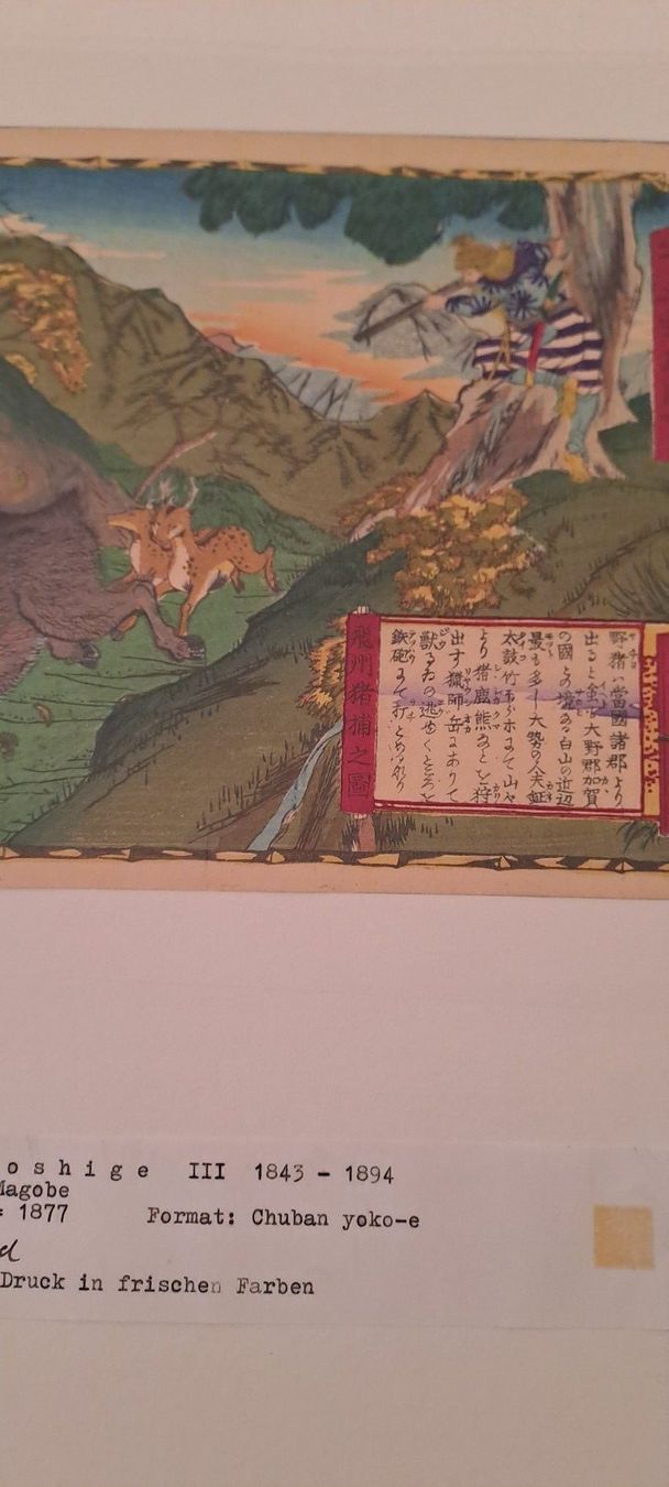 Xilografie: Japanischer Holzschnitt Hiroshige III – Usato da Zürich venduto da Michel1896 1