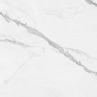 Cellini Pamesa Wand & Bodenfliese 120x60 cm Neu...