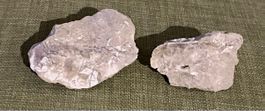 Fossil