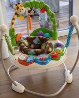 Fisher-Price Rainforest Jumperoo
