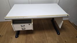 Moll Kinderschreibtisch höhenverstellbar 49 - 75cm