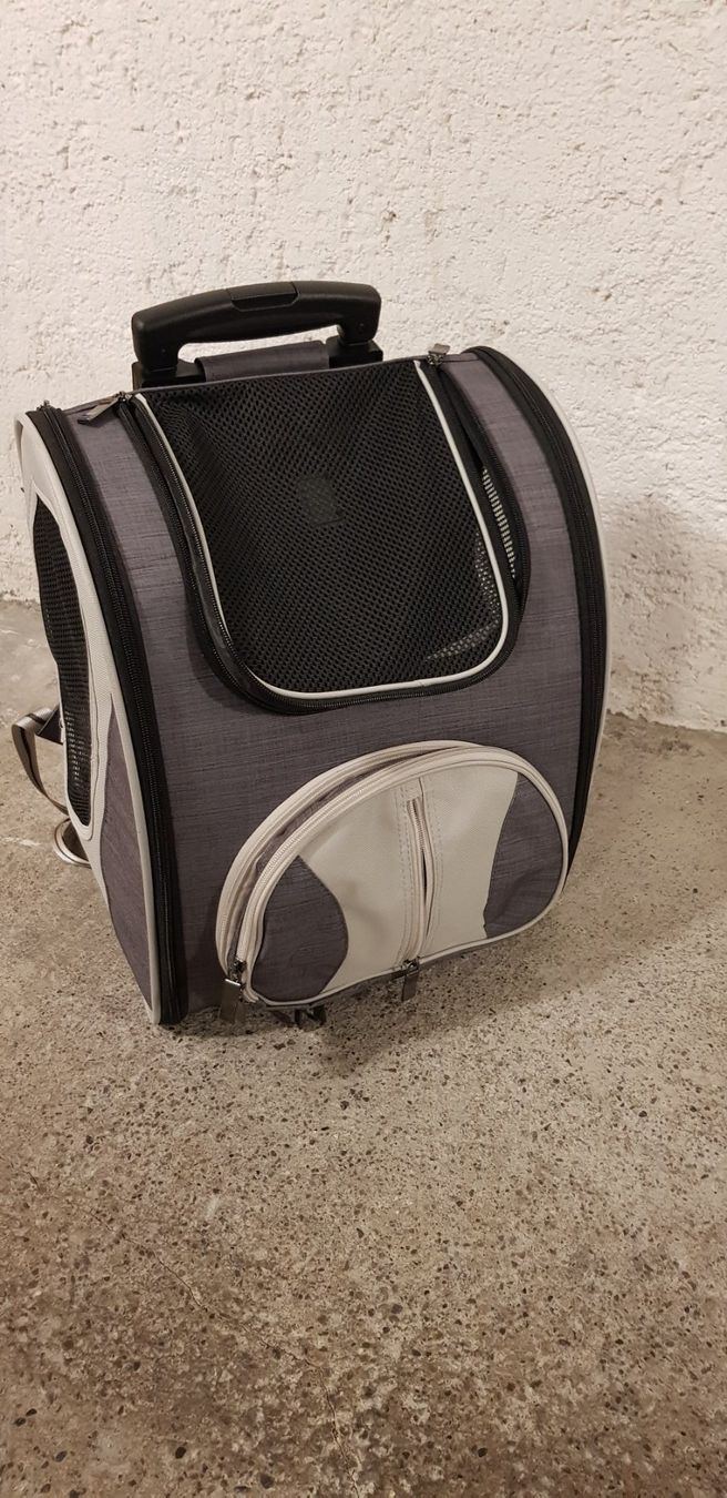 Valigie & Borse: Hunde und Katzen Trolly-Rucksack Chester – Usato da Zürich venduto da fiat72
