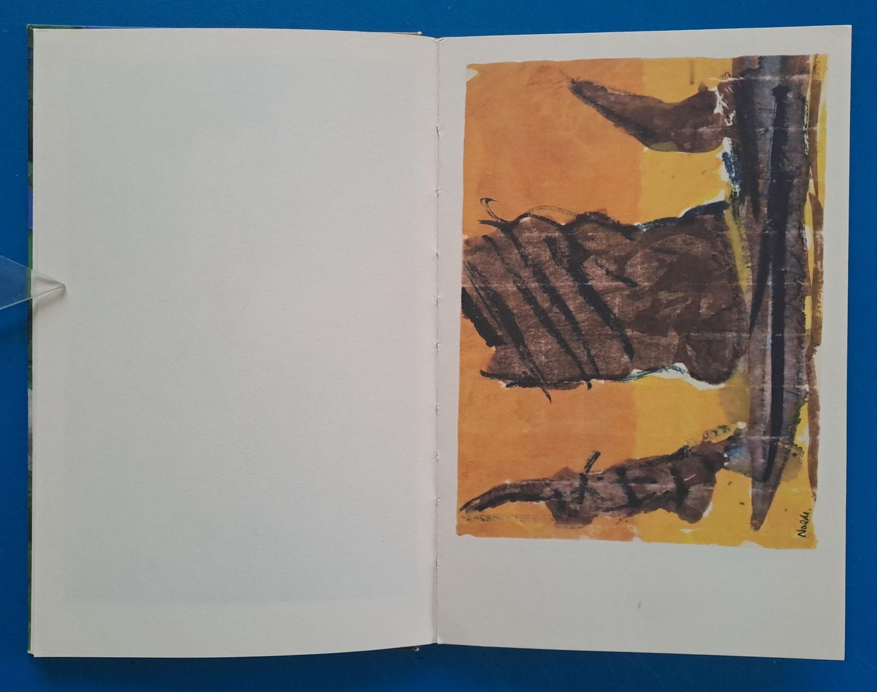 Libri: EMIL NOLDE: AQUARELLE sehr gut erhalten – Usato da Zürich venduto da archiphil 3