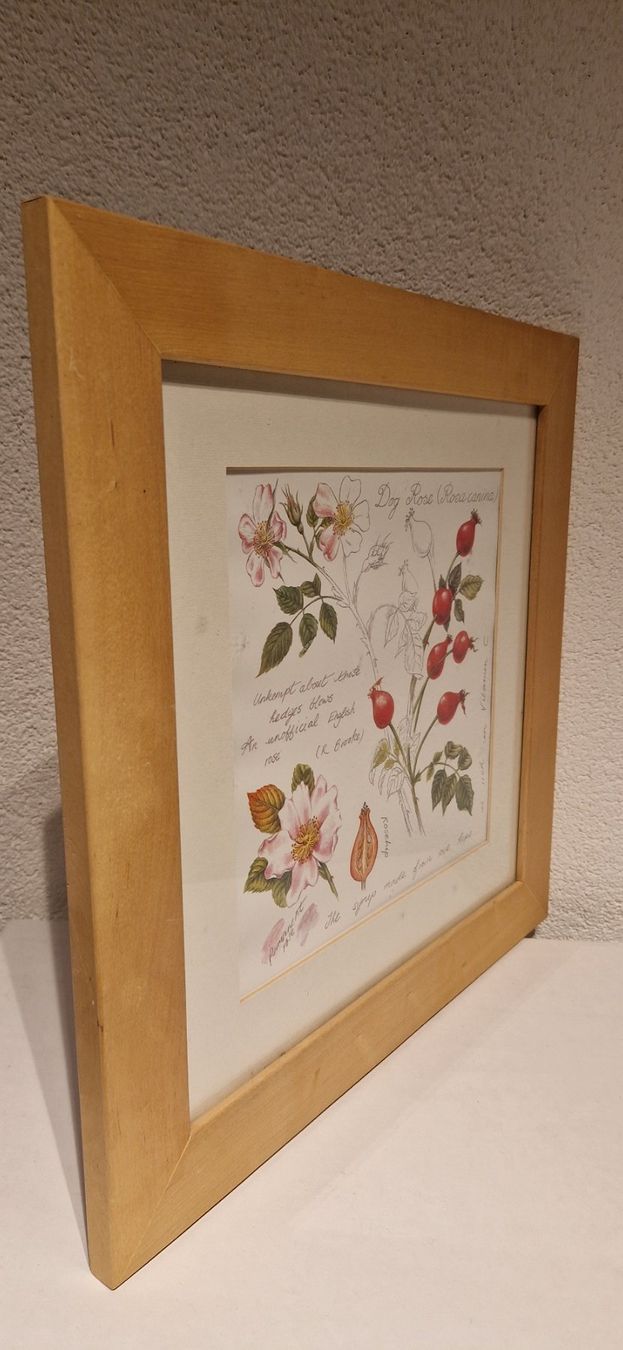Posters & Illustrations: 2 Handgemalte Bilder mit Holzrahmen – D'occasion à Buus par Borki07 3