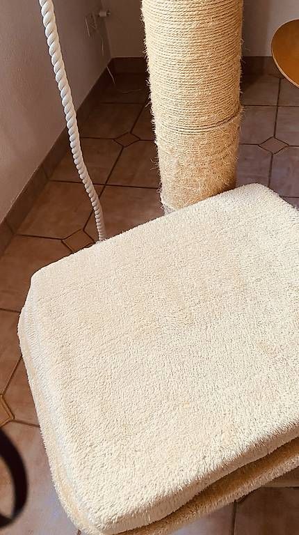 Arbres à chats: Katzenbaum  – D'occasion à Bürglen TG par jap_dcm6 4