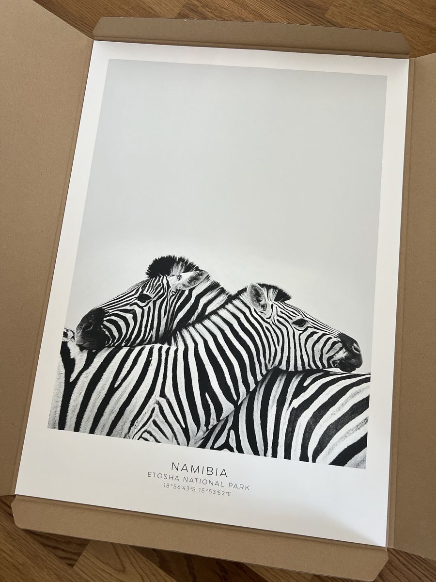 Foto & Immagini: Poster Set, 50x70cm, 1xZebra/1xElefant – Usato da Glattpark(Opfikon) venduto da ste_n99y 2