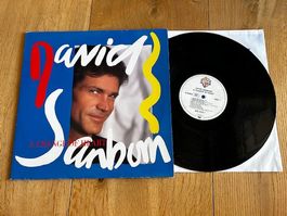 LP Vinyl David Sanborn - A Change Of Heart, DE1987 top