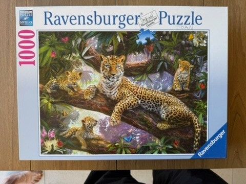 Puzzle: 3 Puzzles: Leopard, Celebration, Papageien – Usato da Oberdorf BL venduto da Simba72 3