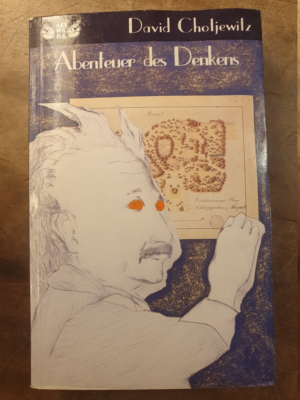 Libri: Abenteuer des Denkens - David Choljewitz – Usato da Zürich venduto da loosebone