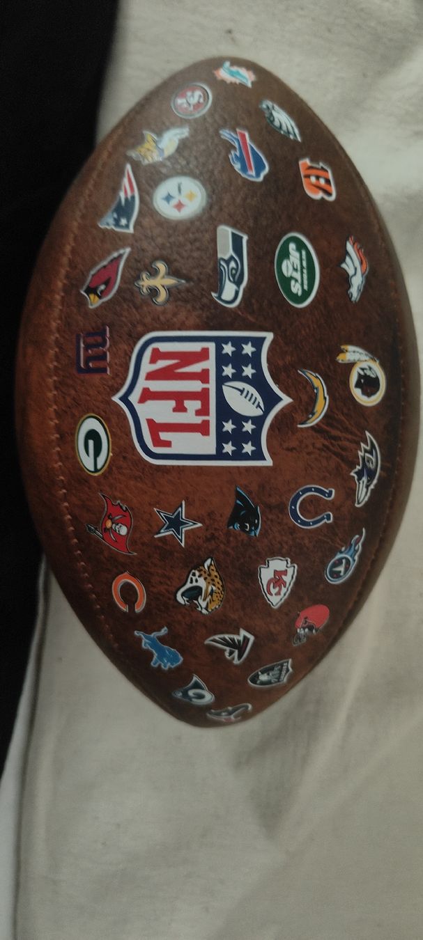 Wilson Bälle: Official  American Footballl Ball Leder – Gebraucht aus Unterentfelden von igs_nj72 1