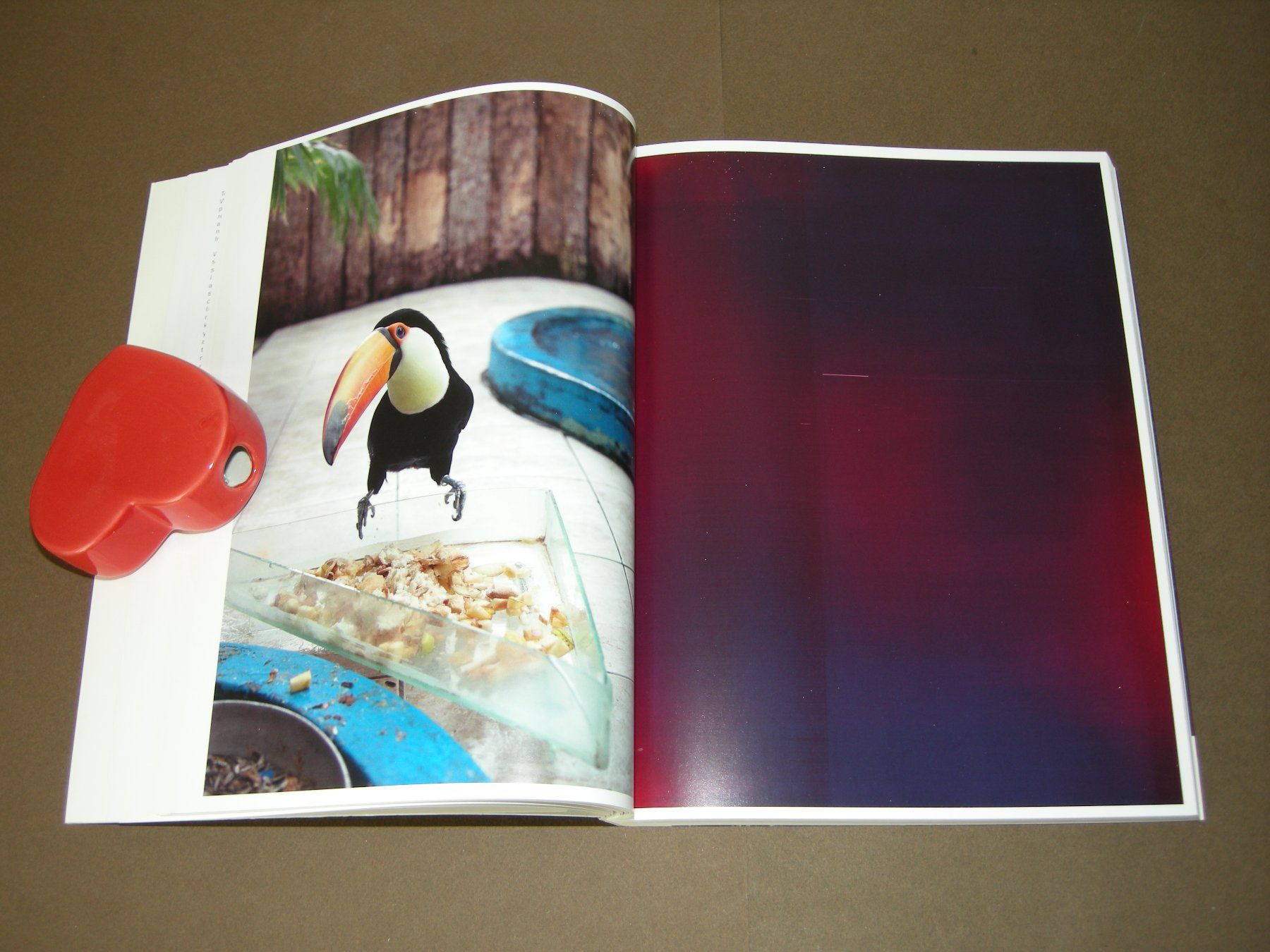 Libri: Wolfgang Tillmans / Neue Welt 2012 – Usato da Aarau venduto da Pearlz 4