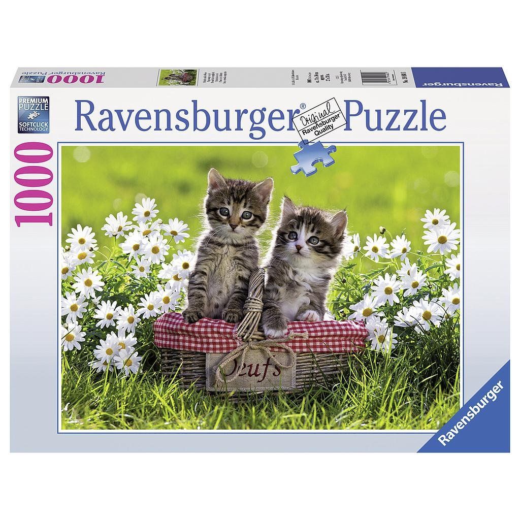 Ravensburger Puzzles: Puzzle "Picknick auf der Wiese" – Gebraucht aus Wabern von Irakene
