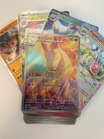 Pokemon Bundle, Verschiedene Karten