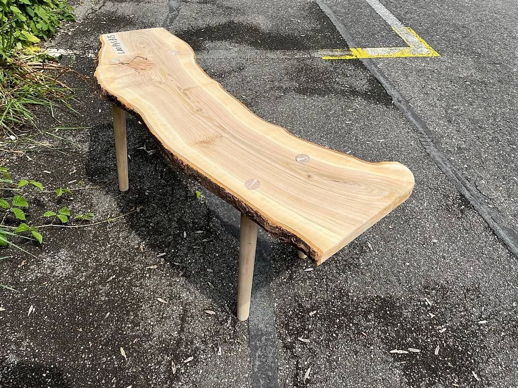 Panchine: Bank – Usato da Neuenegg venduto da bachopa1 1