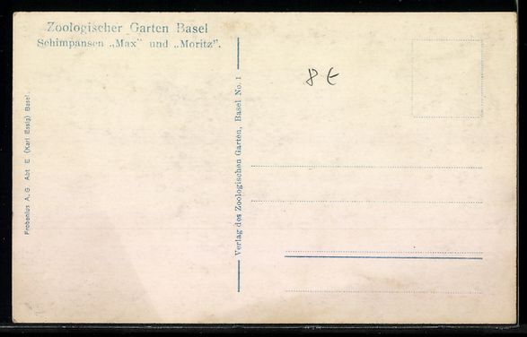 Cartoline postali: Basel, Zoologischer Garten, Schimpansen  – Usato da Berlin venduto da bartko-reher 1