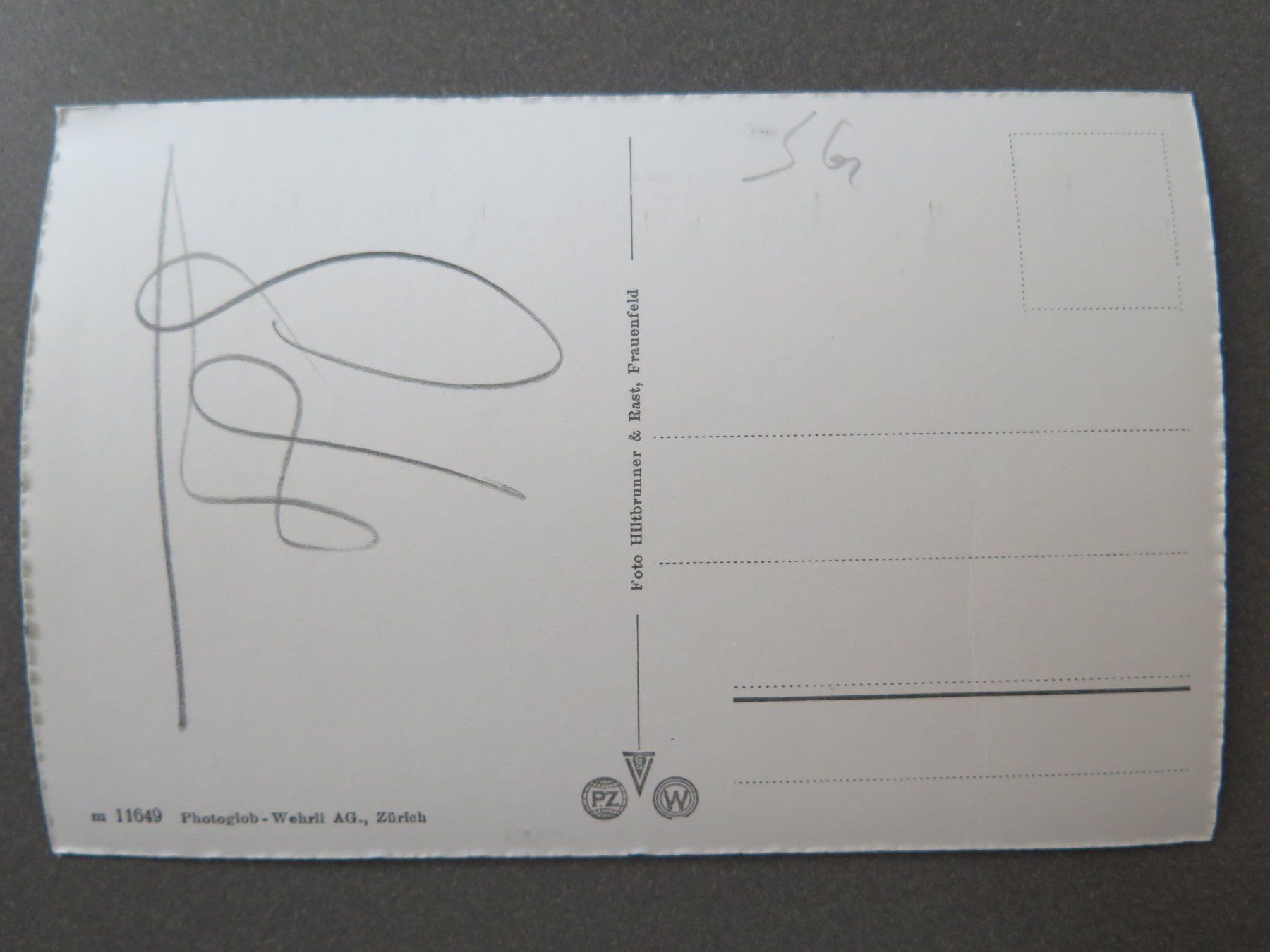Cartoline postali: GOSSAU - TEIL DES ORTES – Usato da Wittenbach venduto da lipasal 1
