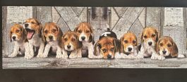 Clementoni Puzzle Panorama Beagles, 1000 Teile