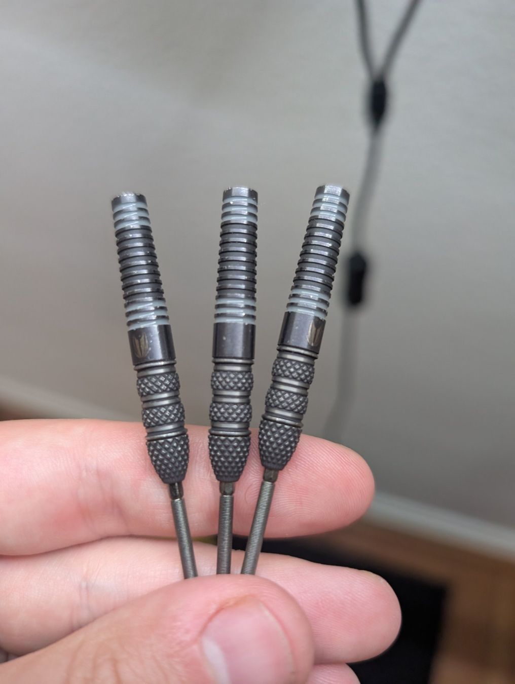 Dart: Van Barneveld Echo 23g, Target Darts – Gebraucht aus Sursee von hab_zz8x