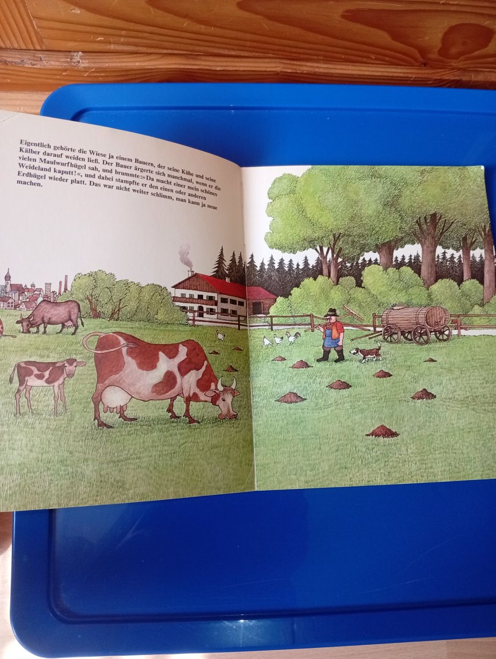 Libri: antik Der Maulwurf Grabowski 1972 ab 5.--Fr – Usato da Killwangen venduto da Freds7 2
