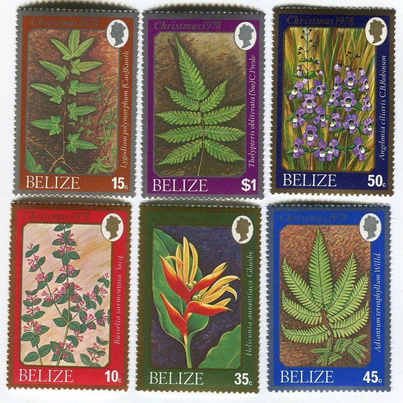Tous les timbres: Briefmarken "Blumen". Belize. – Neuf avec emballage d'origine à Basel par Butsch5