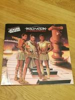 LP - Imagination - In The Heat Of The Night - Vinyl