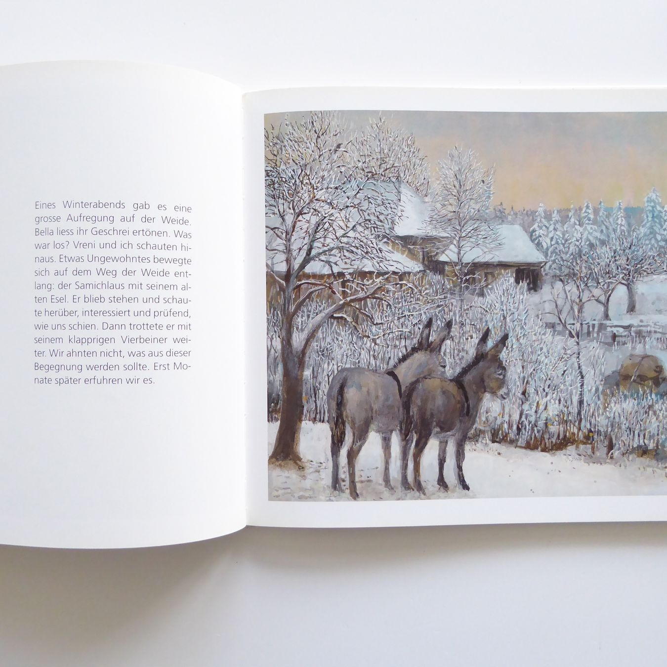 Libri: Strupf wird Samichlaus-Esel – Usato da Basel venduto da Kunterbunt12 4