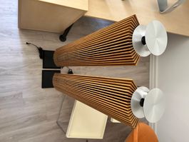 Bang & Olufsen Beolab 18