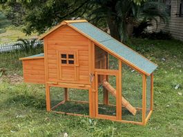 Hühnerstall mit Auslauf 172x66x120cm