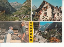 Sonogno 1981