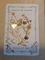 Antikes Jerusalem Blumenbild im Rahmen 1925 Datiert