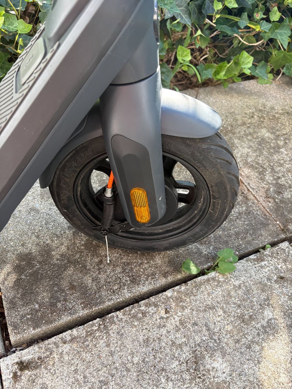 Segway Kickboard: E-Scooter Ninebot E2 Pro, gebraucht – D'occasion à Urdorf par mic_s5pt 6